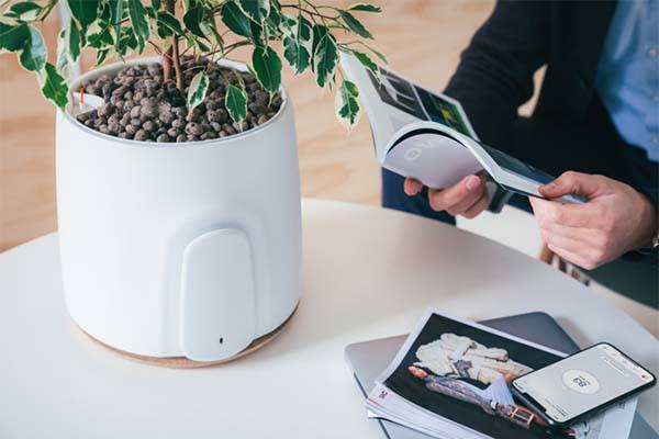 Natede smart air purifier delivers a natural way to purify indoor air